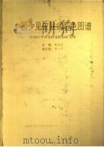 中国少见皮肤病彩色图谱（1994 PDF版）