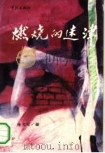 燃烧的迷津（1991 PDF版）