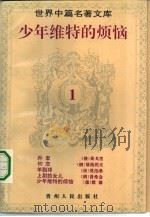 少年维特的烦恼（1994 PDF版）