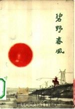 碧野春风（1963 PDF版）