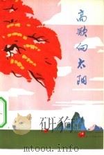 高歌向太阳  广西各族新民歌选（1975 PDF版）