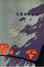在燃烧的战场（1984 PDF版）