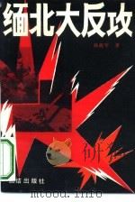 缅北大反攻（1989 PDF版）