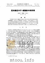 巨共振在中子-核散射中的作用 PDF电子版封面 杨立铭,钟毓澍等
