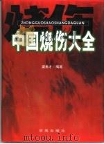 中国烧伤大全 1998 PDF电子版封面 7507704416 梁勇才编著