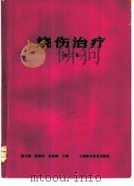 烧伤治疗  第2版（1985 PDF版）