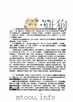考古学通论讲稿（ PDF版）