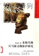 秦始皇陵兵马俑文物保护研究（1998 PDF版）