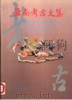 云南考古文集（1998 PDF版）