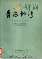 青海柳湾  乐都柳湾原始社会墓地（1984 PDF版）
