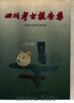 四川考古报告集 1998 PDF电子版封面 7501009287 四川省文物考古研究所编