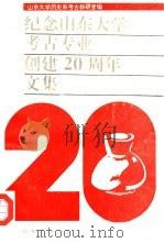 纪念山东大学考古专业创建二十周年文集  1972-1992（1992 PDF版）