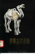 宁夏古代文物（ PDF版）