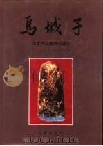 马城子  太子河上游洞穴遗存（1994 PDF版）