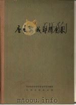 唐长安城郊隋唐墓（1980 PDF版）