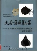 大荔-蒲城旧石器  大荔人遗址及其附近旧石器地点群调查发掘报告（1996 PDF版）