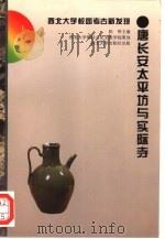 唐长安太平坊与实际寺 西北大学校园考古新发现 1994 PDF电子版封面 7560407234 伯明主编