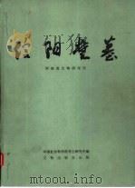 信阳楚墓  中国田野考古报告集考古学专刊  丁种第三十号（1986 PDF版）