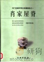 天门石家河考古发掘报告  1  肖家屋脊（1999 PDF版）