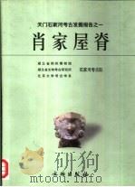 天门石家河考古发掘报告之一 肖家屋脊 下 1999 PDF电子版封面 750101129X 湖北省荆州博物馆,湖北省文物考古研研究所等