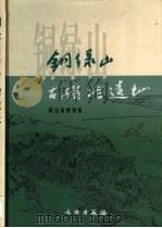 铜绿山古矿冶遗址 1999 PDF电子版封面 7501011524 黄石市博物馆编