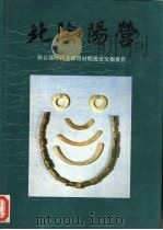 北阴阳营  新石器时代及商周时期遗址发掘报告（1993 PDF版）