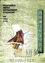 周围神经卡压综合征（1998 PDF版）