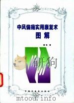 中风偏瘫实用康复术图解（1999 PDF版）