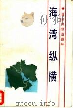 海湾纵横（1990 PDF版）