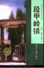 段甲岭镇 1998 PDF电子版封面 7800926621 张晓山等著