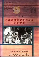 中国村落的商业传统与企业发展  山西省原平市屯瓦村调查   1996  PDF电子版封面  7805779074  李静著 