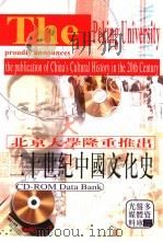二十世纪中国文化史（ PDF版）