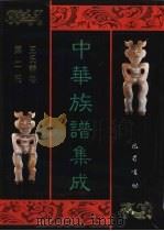 中华族谱集成  王氏谱卷  第2册（1995 PDF版）