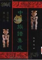 中华族谱集成 王氏谱卷 第5册 1995 PDF电子版封面 7805236941 张海瀛,武新立,林万清主编
