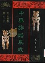 中华族谱集成 陈氏谱卷 第9册 1995 PDF电子版封面 7805236941 张海瀛,武新立,林万清主编