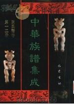 中华族谱集成 陈氏谱卷 第12册 1995 PDF电子版封面 7805236941 张海瀛,武新立,林万清主编