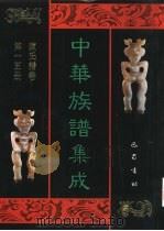 中华族谱集成 陈氏谱卷 第15册 1995 PDF电子版封面 7805236941 张海瀛,武新立,林万清主编