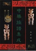 中华族谱集成  李氏谱卷  第10册（ PDF版）