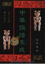中华族谱集成  王氏谱卷  第10册（ PDF版）