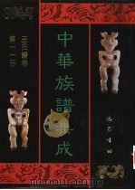 中华族谱集成  王氏谱卷  第11册（ PDF版）