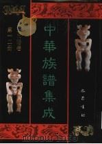 中华族谱集成  王氏谱卷  第12册（ PDF版）