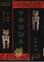 中华族谱集成  王氏谱卷  第13册（ PDF版）