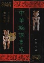 中华族谱集成  王氏谱卷  第14册（ PDF版）