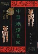 中华族谱集成 李氏谱卷 第20册 1995 PDF电子版封面 7805236941 张海瀛,武新立,林万清主编