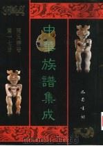 中华族谱集成 张氏谱卷 第17册 1995 PDF电子版封面 7805236941 张海瀛,武新立,林万清主编