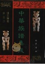 中华族谱集成  张氏谱卷  第4册（1995 PDF版）