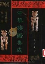 中华族谱集成 张氏谱卷 第7册 1995 PDF电子版封面 7805236941 张海瀛,武新立,林万清主编