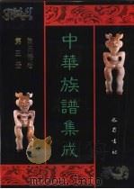 中华族谱集成  陈氏谱卷  第3册（1995 PDF版）