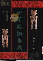 中华族谱集成  陈氏谱卷  第8册（1995 PDF版）