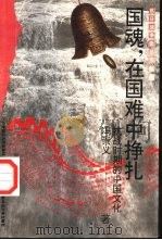 国魂,在国难中挣扎 抗战时期的中国文化 1995 PDF电子版封面 7563321616 冯崇义著